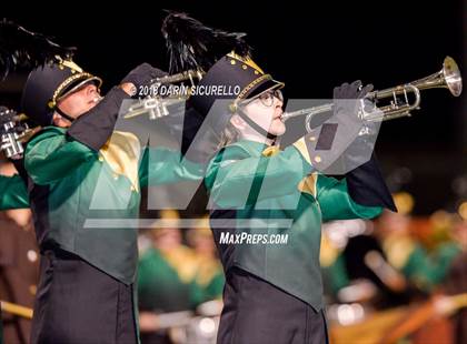 Thumbnail 2 in Hamilton @ Basha photogallery.