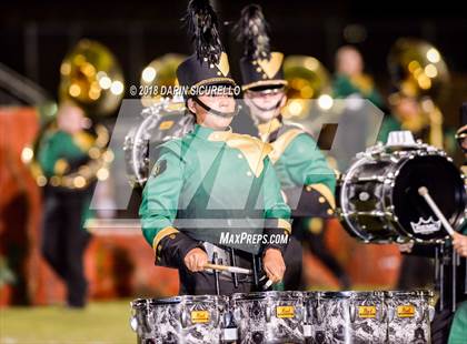 Thumbnail 3 in Hamilton @ Basha photogallery.