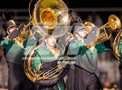 Thumbnail 2 in Hamilton @ Basha photogallery.