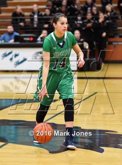 Thumbnail 1 in ThunderRidge vs. Trinity (Nike Tournament of Champions) photogallery.