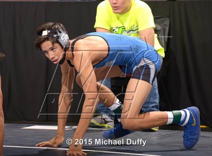 Thumbnail 2 in CIF State Boys Wrestling Championships (Round 2) photogallery.