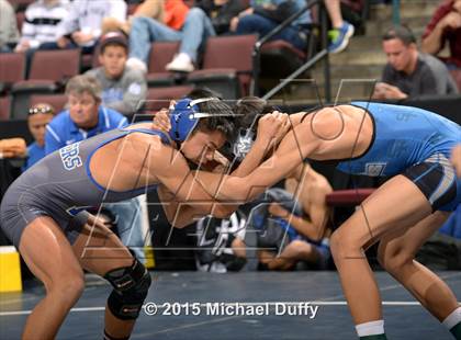 Thumbnail 3 in CIF State Boys Wrestling Championships (Round 2) photogallery.