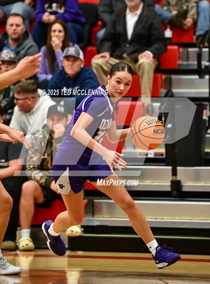 Thumbnail 3 in Ozark @ Dardanelle photogallery.