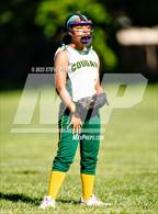 Photo from the gallery "River City @ Kennedy"