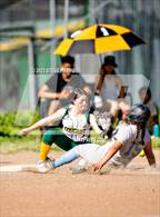 Photo from the gallery "River City @ Kennedy"