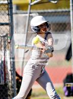 Photo from the gallery "River City @ Kennedy"