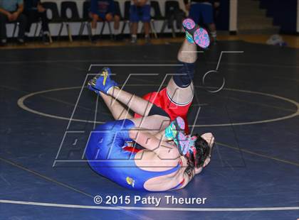 Thumbnail 3 in WIC Duals photogallery.