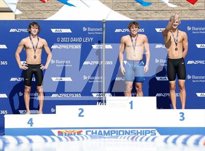 Thumbnail 3 in AIA D1 Swim Finals photogallery.