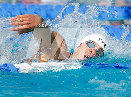 Thumbnail 3 in AIA D1 Swim Finals photogallery.