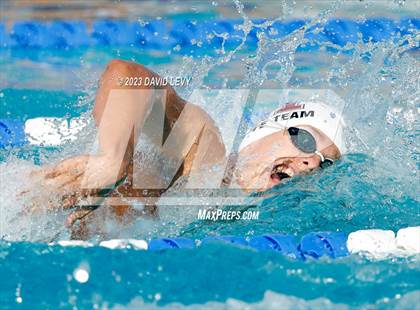 Thumbnail 1 in AIA D1 Swim Finals photogallery.