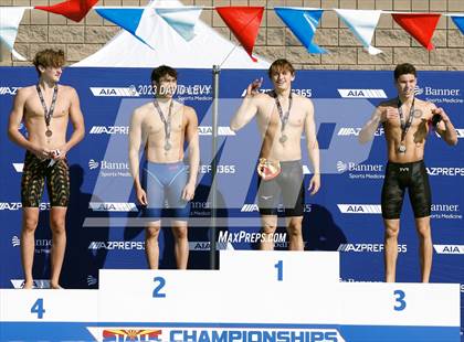 Thumbnail 3 in AIA D1 Swim Finals photogallery.