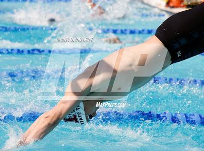 Thumbnail 1 in AIA D1 Swim Finals photogallery.