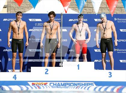 Thumbnail 1 in AIA D1 Swim Finals photogallery.
