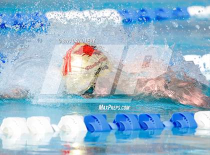 Thumbnail 2 in AIA D1 Swim Finals photogallery.