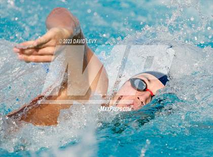 Thumbnail 1 in AIA D1 Swim Finals photogallery.
