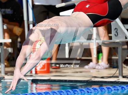 Thumbnail 1 in AIA D1 Swim Finals photogallery.