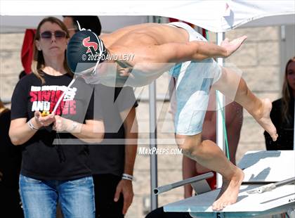 Thumbnail 2 in AIA D1 Swim Finals photogallery.