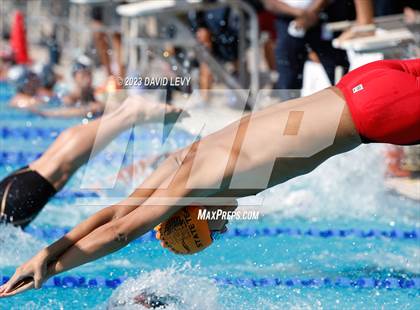 Thumbnail 1 in AIA D1 Swim Finals photogallery.