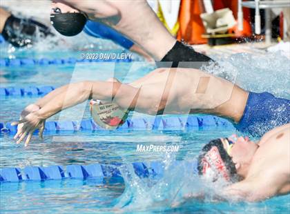 Thumbnail 2 in AIA D1 Swim Finals photogallery.