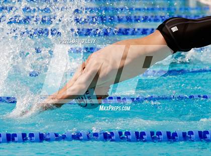 Thumbnail 1 in AIA D1 Swim Finals photogallery.