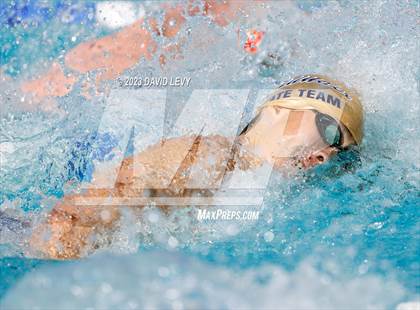 Thumbnail 3 in AIA D1 Swim Finals photogallery.