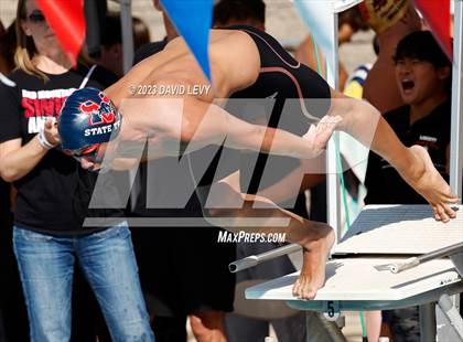 Thumbnail 1 in AIA D1 Swim Finals photogallery.