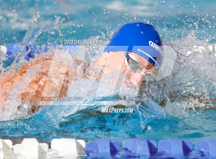 Thumbnail 3 in AIA D1 Swim Finals photogallery.
