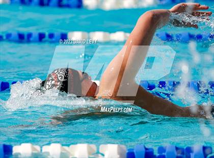 Thumbnail 1 in AIA D1 Swim Finals photogallery.
