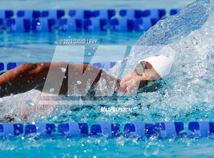 Thumbnail 1 in AIA D1 Swim Finals photogallery.