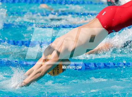 Thumbnail 1 in AIA D1 Swim Finals photogallery.