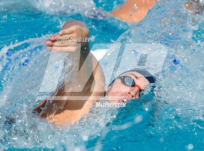 Thumbnail 2 in AIA D1 Swim Finals photogallery.