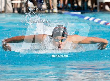 Thumbnail 1 in AIA D1 Swim Finals photogallery.