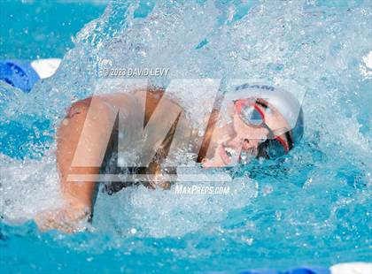 Thumbnail 1 in AIA D1 Swim Finals photogallery.