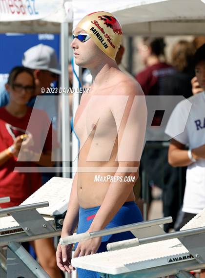 Thumbnail 1 in AIA D1 Swim Finals photogallery.