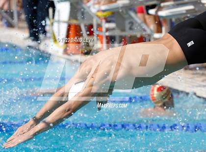 Thumbnail 1 in AIA D1 Swim Finals photogallery.