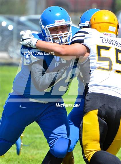 Thumbnail 1 in Raton @ McCurdy photogallery.