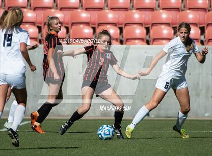 Thumbnail 1 in Corner Canyon vs. Murray (UHSAA 5A Final) photogallery.