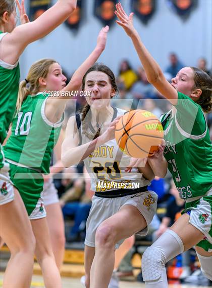 Thumbnail 3 in Salem vs Valley Springs (3A-2 District tournament) photogallery.
