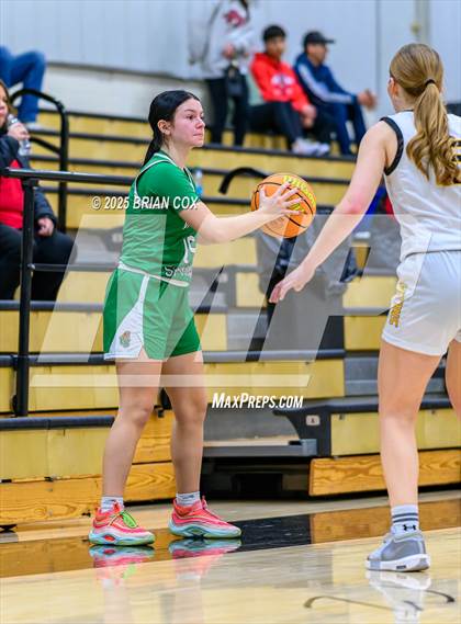 Thumbnail 3 in Salem vs Valley Springs (3A-2 District tournament) photogallery.