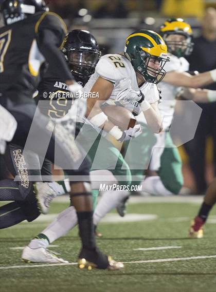 Thumbnail 1 in San Ramon Valley vs Antioch (CIF NCS D1 Playoffs) photogallery.