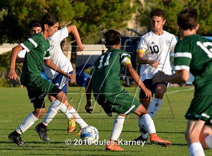 Thumbnail 1 in Adelson vs. Virgin Valley photogallery.