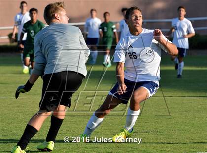 Thumbnail 2 in Adelson vs. Virgin Valley photogallery.