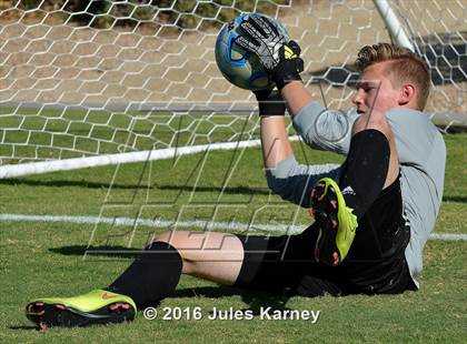 Thumbnail 3 in Adelson vs. Virgin Valley photogallery.