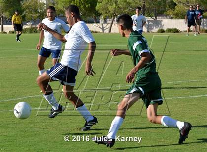 Thumbnail 1 in Adelson vs. Virgin Valley photogallery.