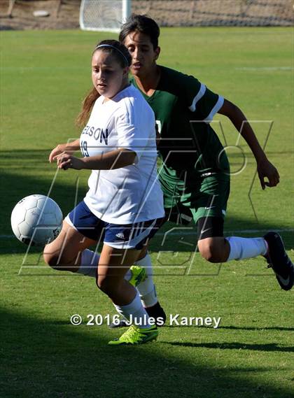 Thumbnail 1 in Adelson vs. Virgin Valley photogallery.