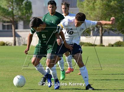 Thumbnail 1 in Adelson vs. Virgin Valley photogallery.