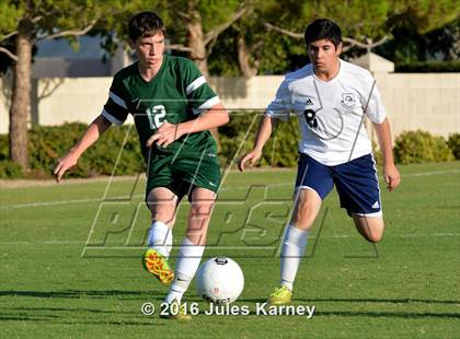 Thumbnail 1 in Adelson vs. Virgin Valley photogallery.