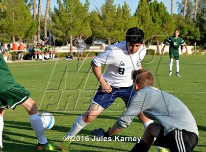 Thumbnail 2 in Adelson vs. Virgin Valley photogallery.