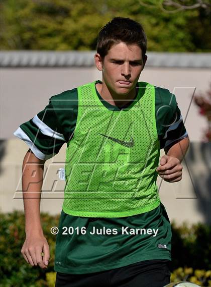 Thumbnail 1 in Adelson vs. Virgin Valley photogallery.