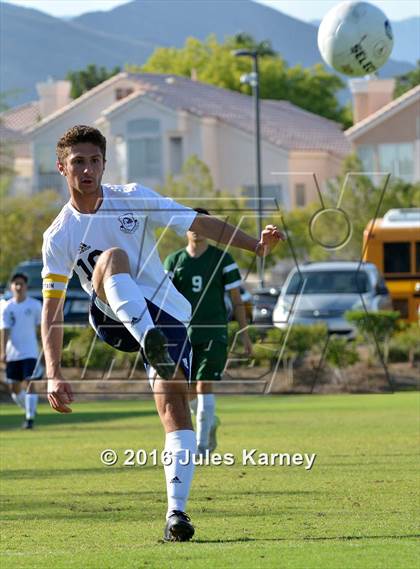 Thumbnail 2 in Adelson vs. Virgin Valley photogallery.